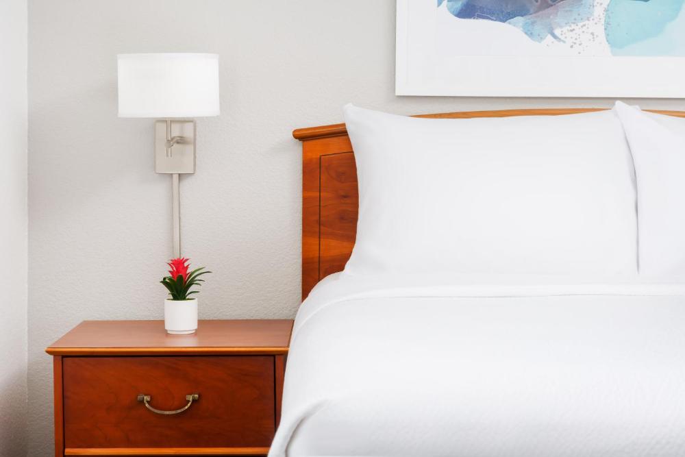One-Bedroom Queen Suite with Sofa Bed interior